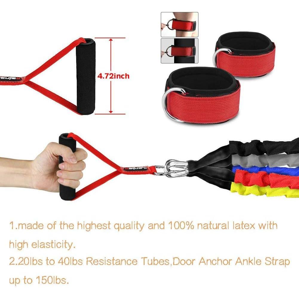 Juego de Bandas de Resistencia Rocutus 15 Piezas 9-18kg