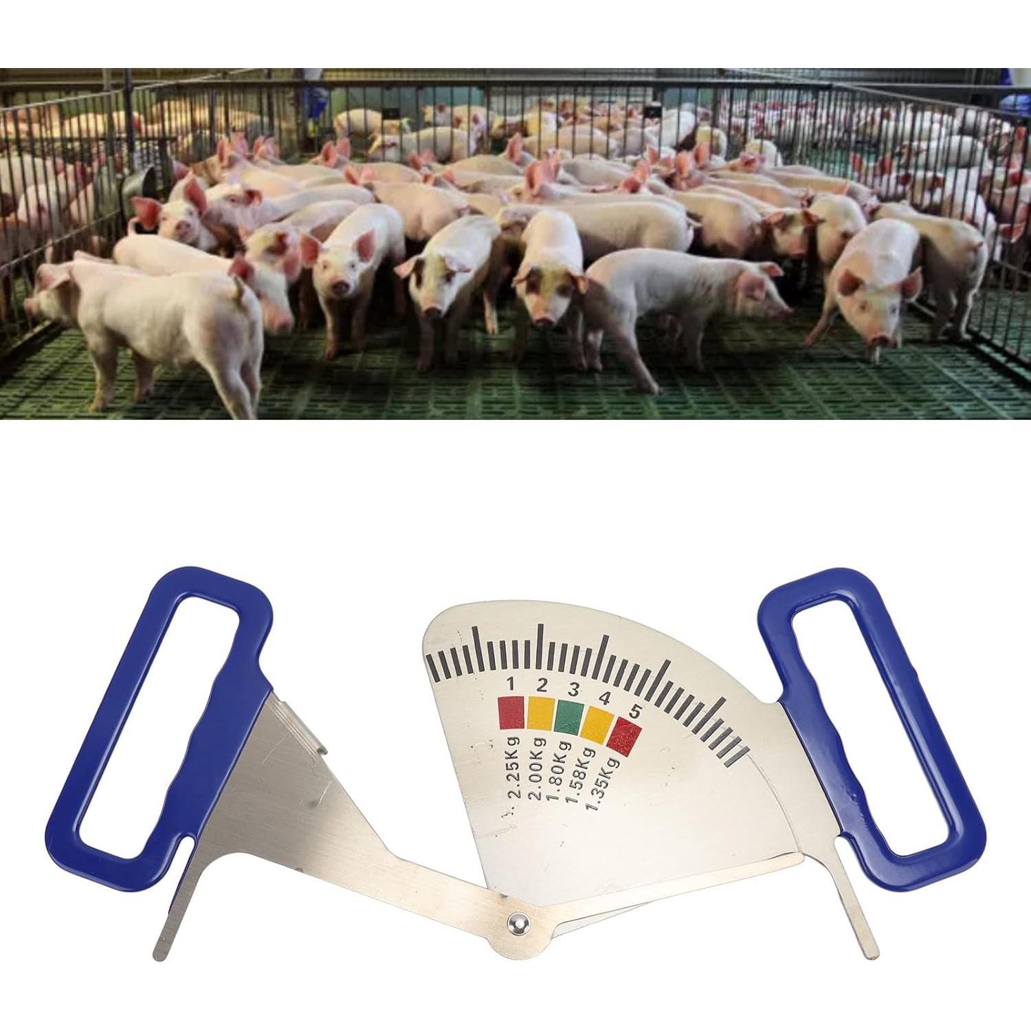 Calibrador de Grasa Corporal para Cerdas CHEOTIME Acero Inoxidable