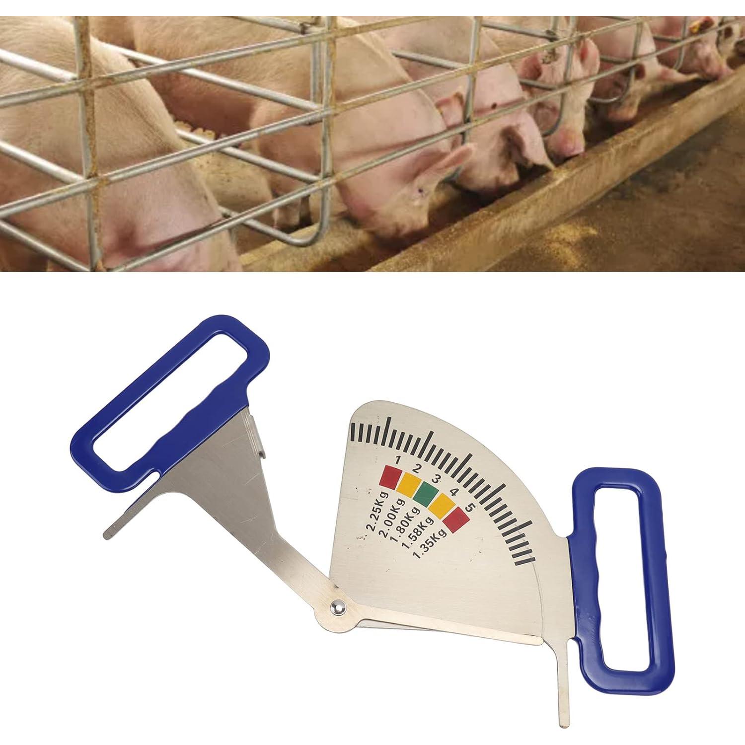 Calibrador de Grasa de Cerda Acero Inoxidable 37.2cm 5 Intervalos