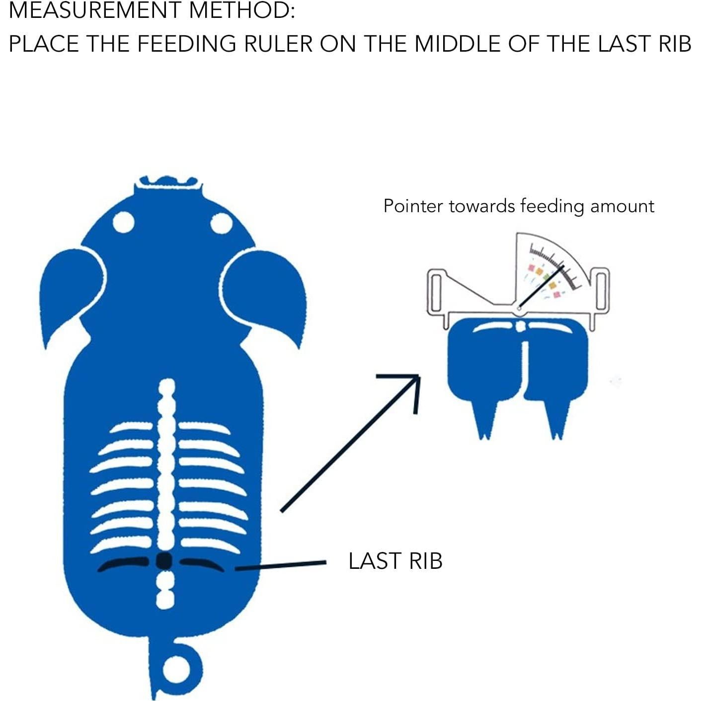 Calibrador de Grasa de Cerda Acero Inoxidable 37.2cm 5 Intervalos