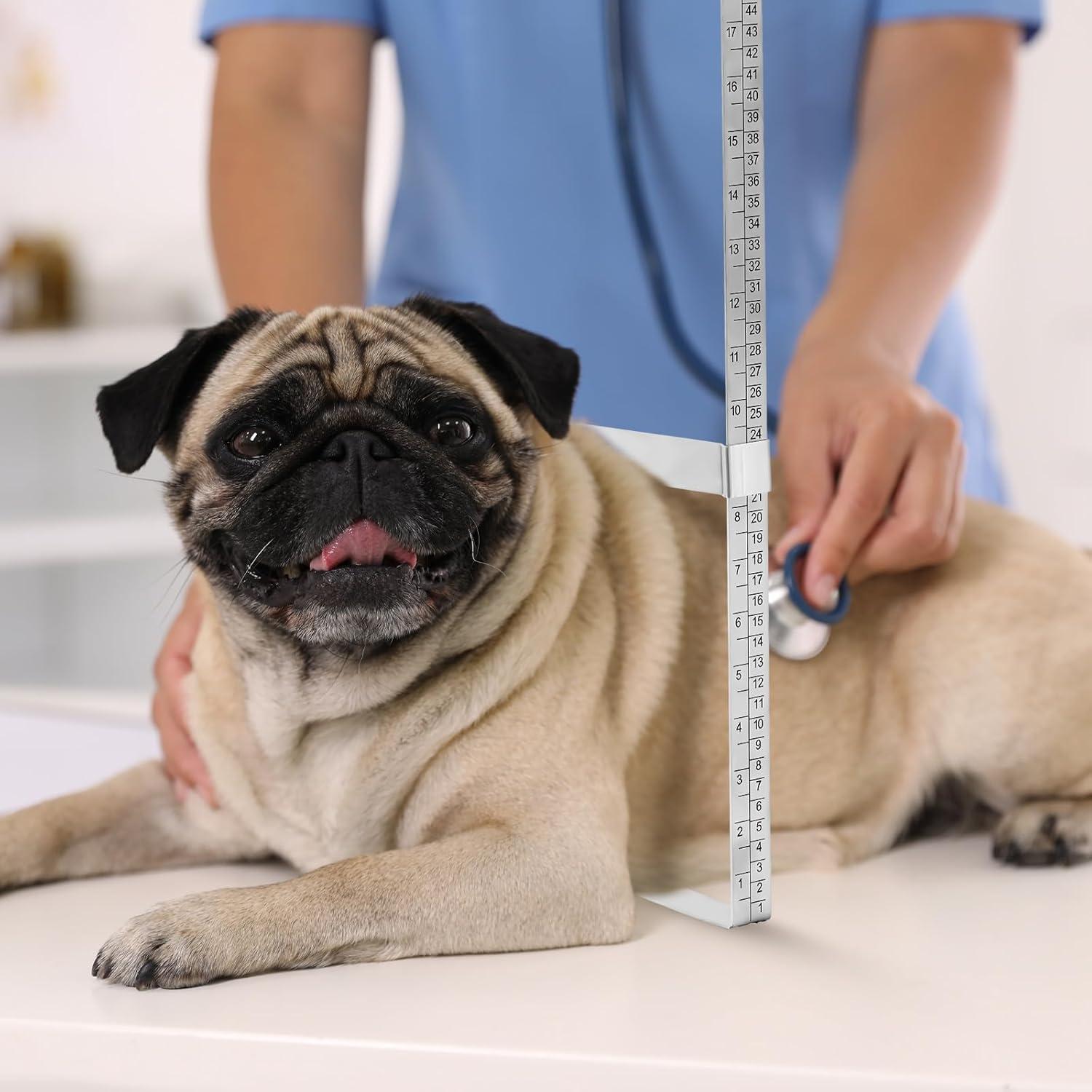 Regla de Calibración Rayos X 56 cm Acero Inoxidable Saysurey