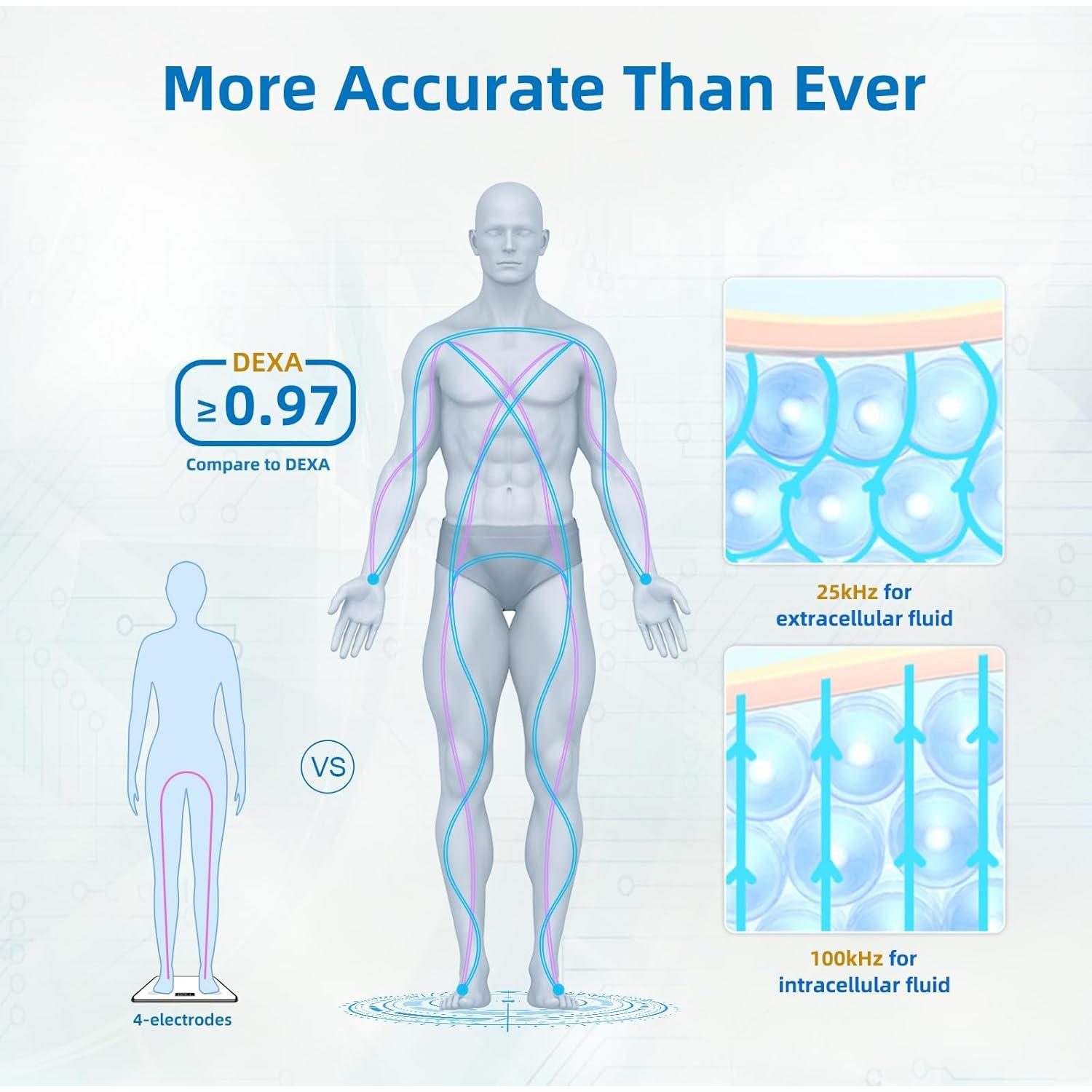 Escala de Composición Corporal Lepulse P1 Negra - 8 Electrodos, IMC, Grasa y Masa Muscular