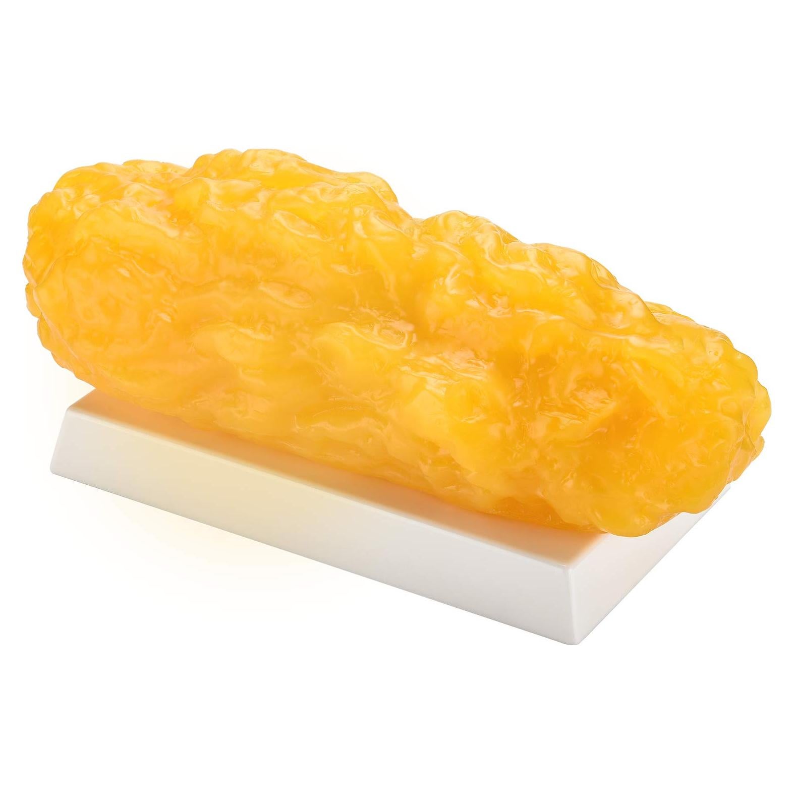 Réplica de Grasa Humana 2.27 kg SimCoach - Motivación para Pérdida de Peso