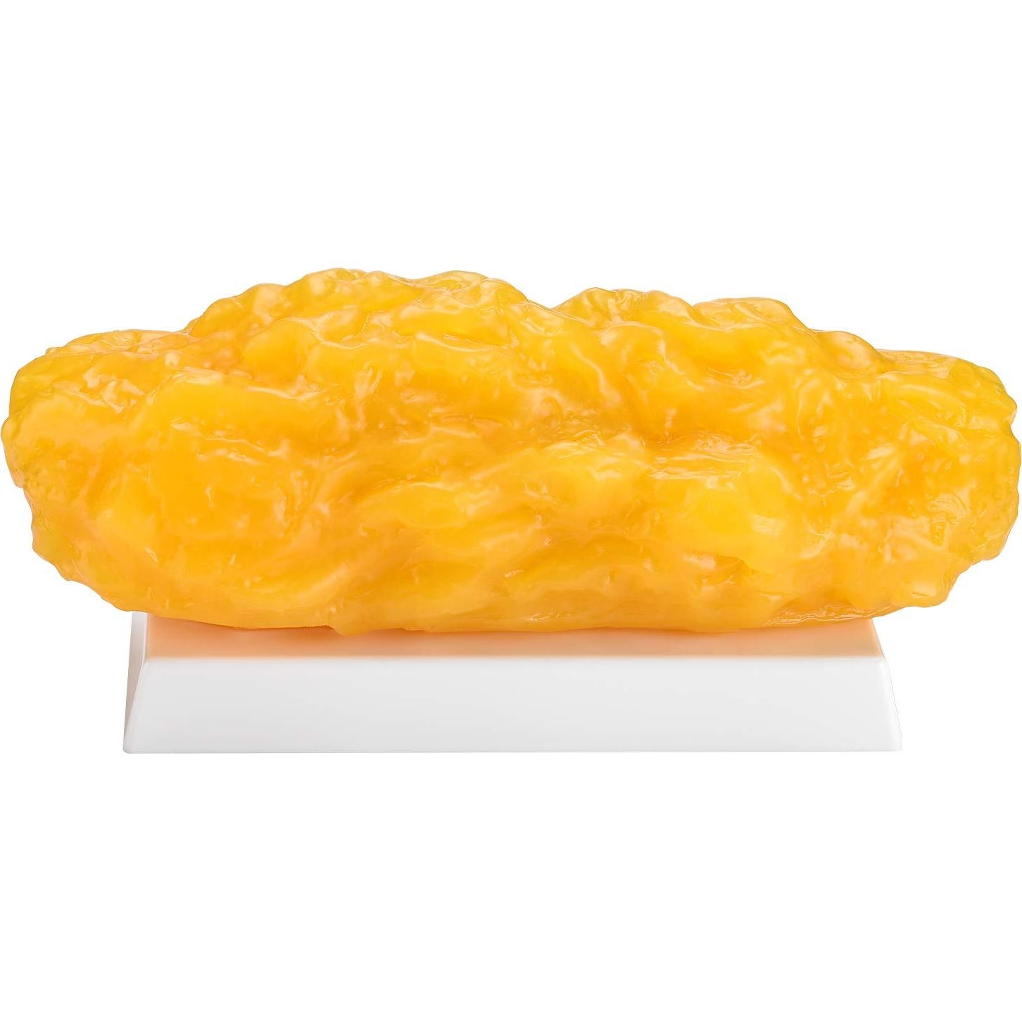 Réplica de Grasa Humana 2.27 kg SimCoach - Motivación para Pérdida de Peso