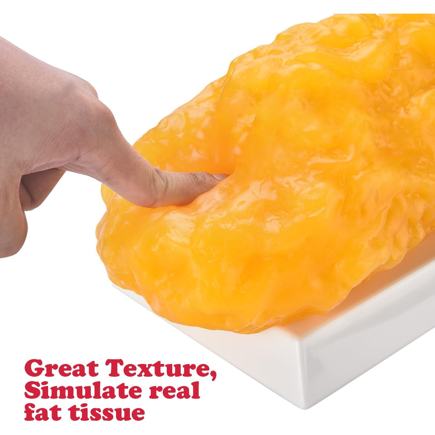 Réplica de Grasa Humana 2.27 kg SimCoach - Motivación para Pérdida de Peso