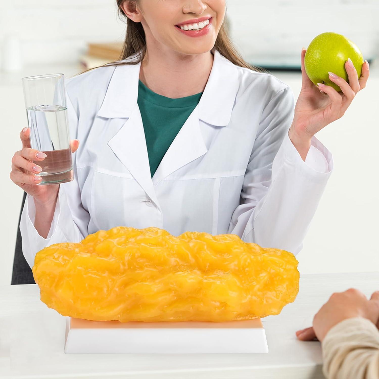 Réplica de Grasa Humana 2.27 kg SimCoach - Motivación para Pérdida de Peso