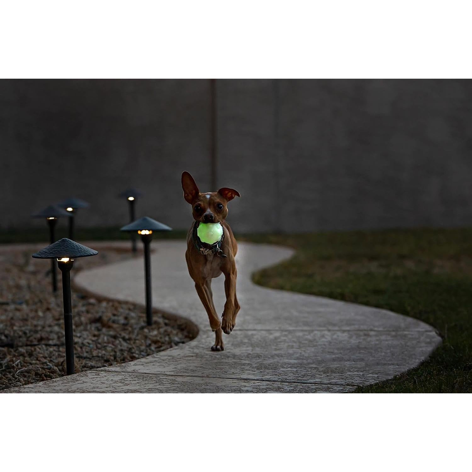 Pelota Jolly Pets Jumper Grande 10.16 cm para Perros - Brilla en la Oscuridad