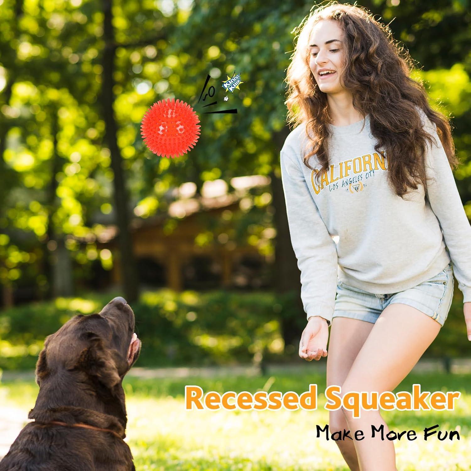 Pelotas de Juguete para Perros Petizer 6 Pack 6.35 cm Flotantes