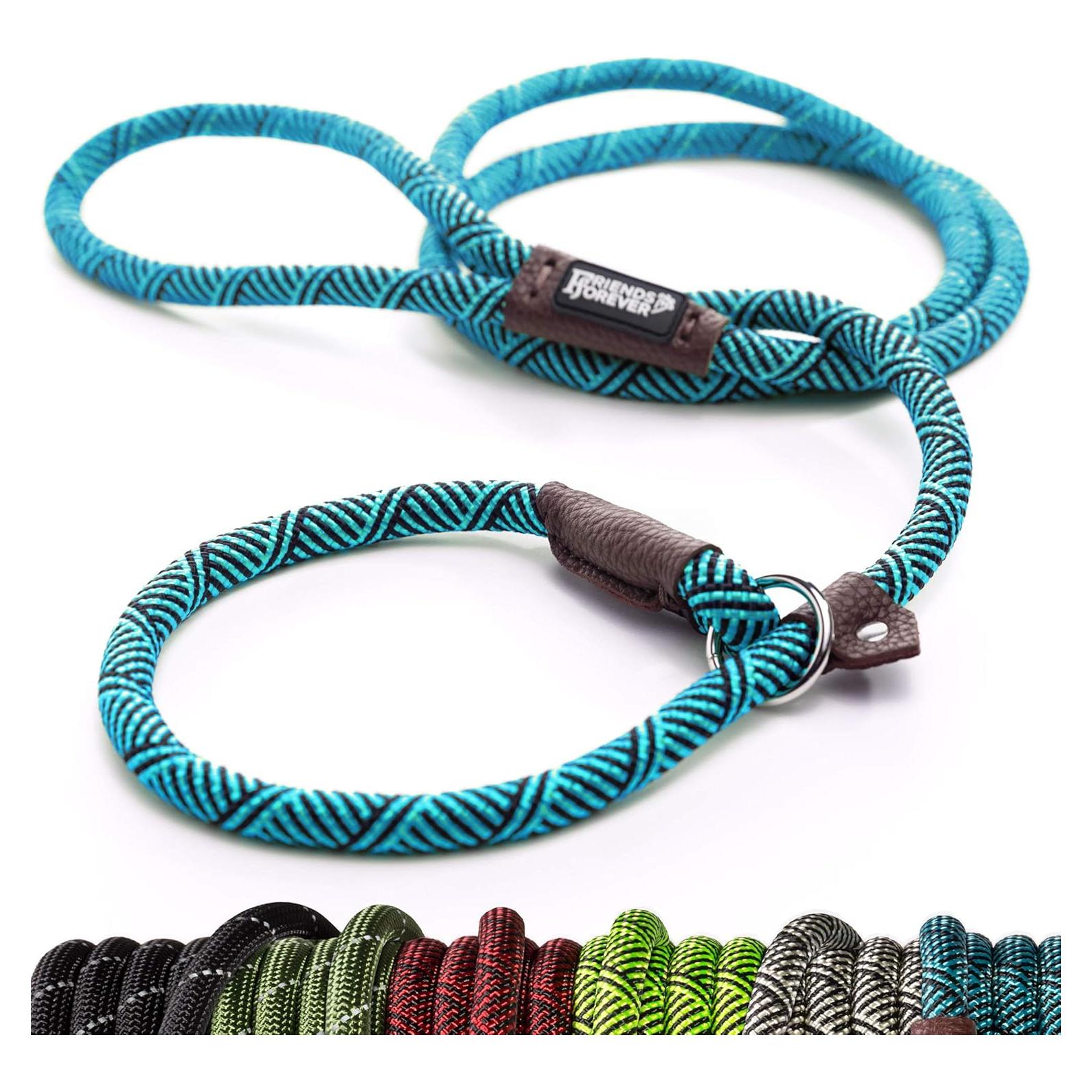 Correa de Perro de Cuerda Amigos Para Siempre 1.83m Azul