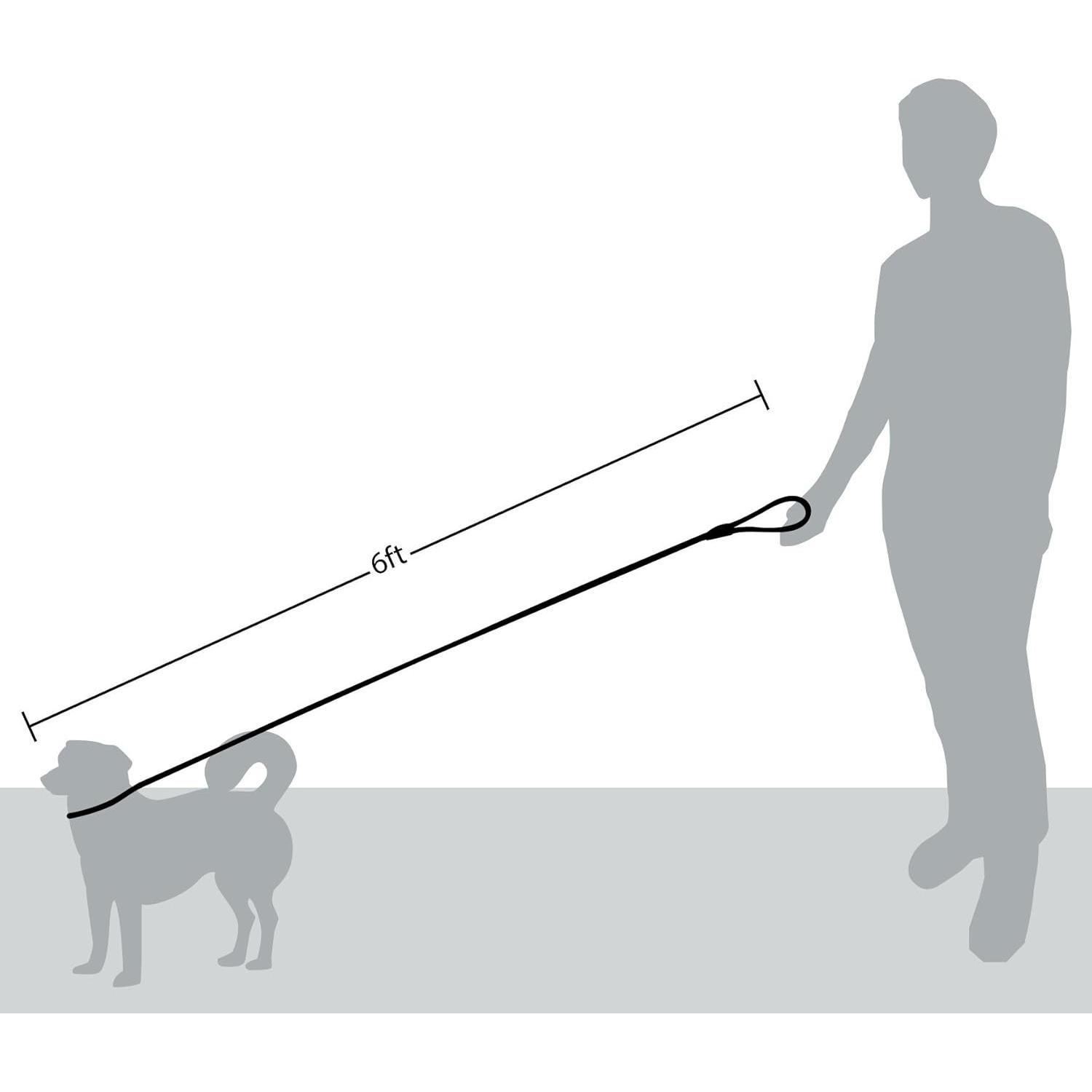Correa de Perro de Cuerda Amigos Para Siempre 1.83m Azul