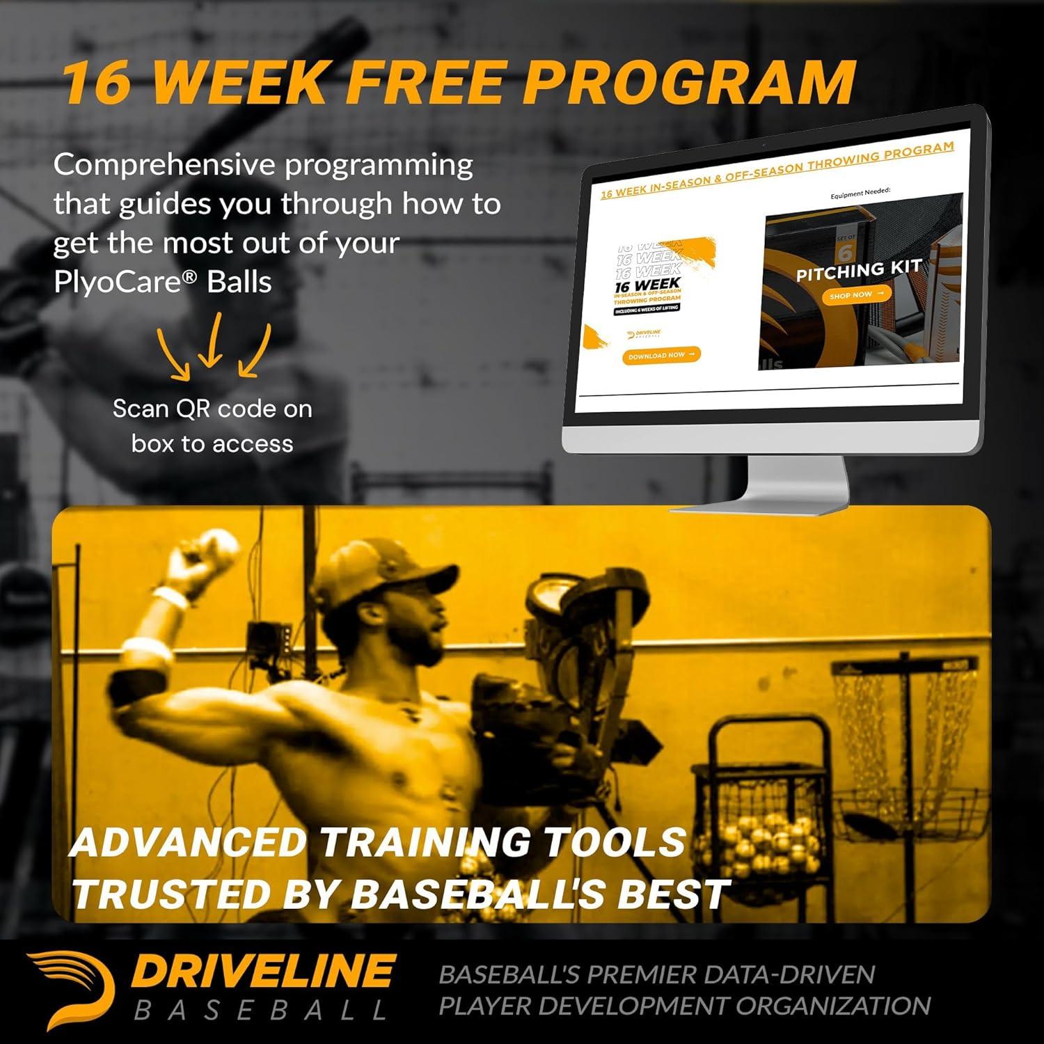 Pelotas de Entrenamiento Driveline Baseball PlyoCare - Set de 6