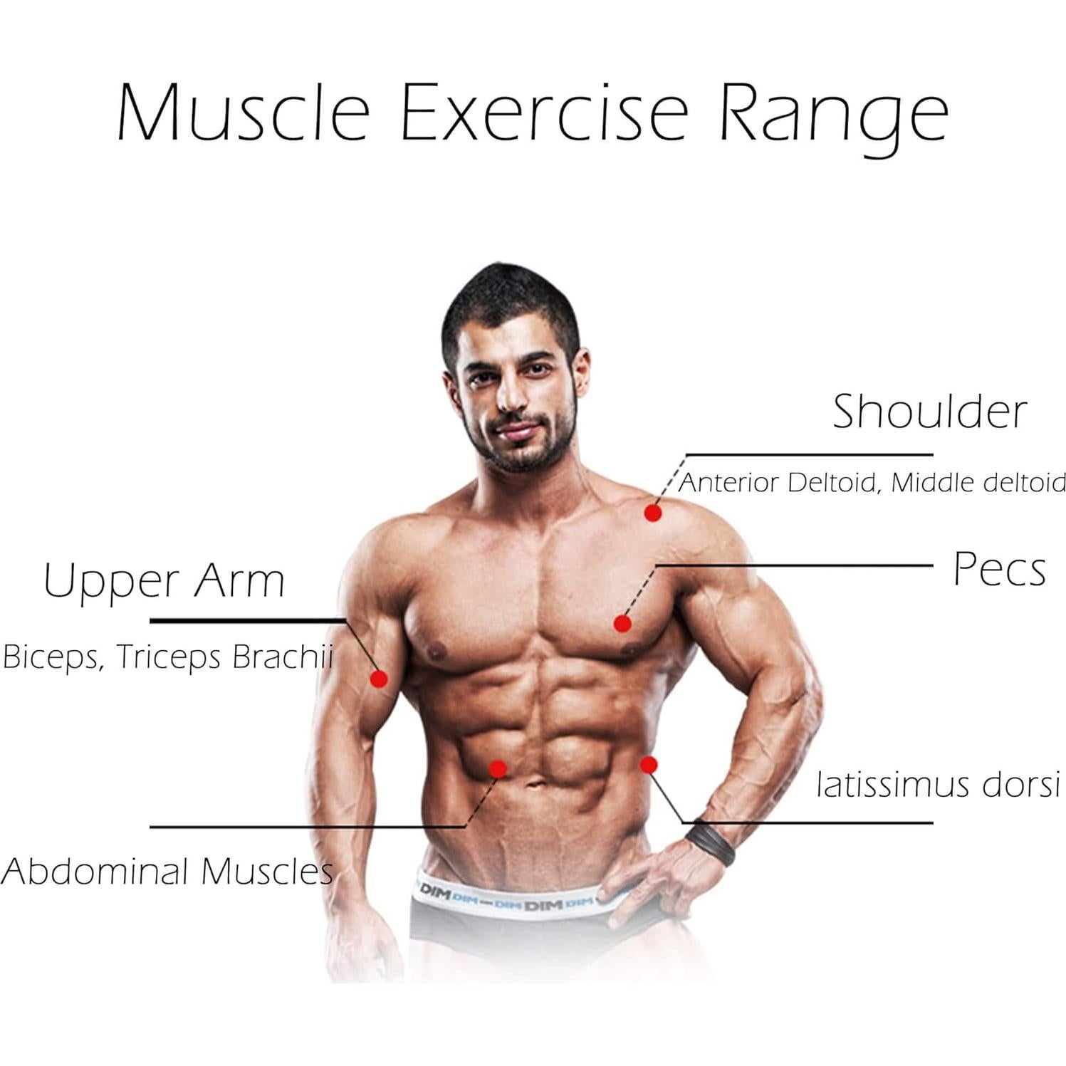 Rueda de Abdominales Dalekana con Resorte y Almohadilla - 37.1 cm