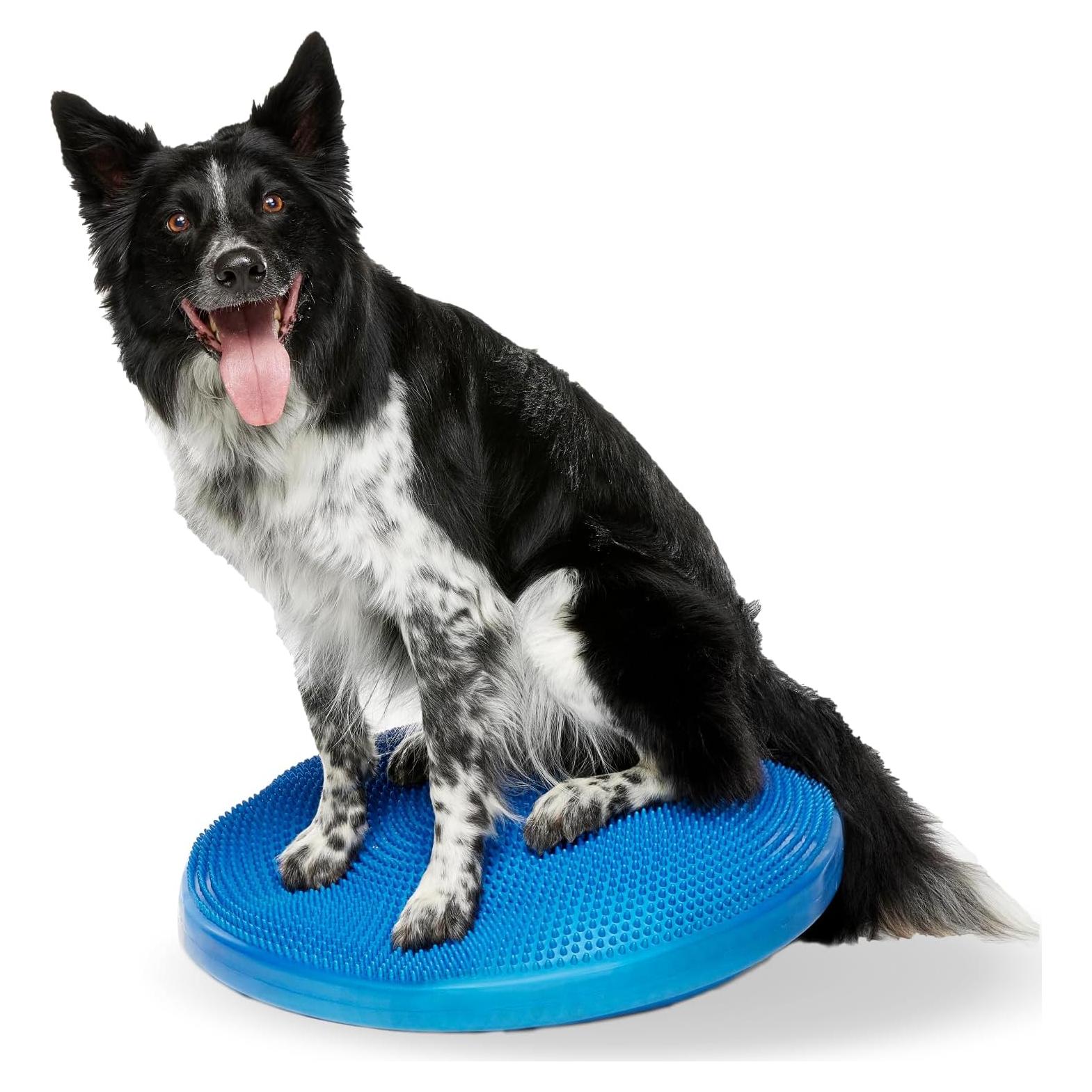 Disco de Equilibrio FitPAWS 22" Azul - Ejercicio y Rehabilitación Canina