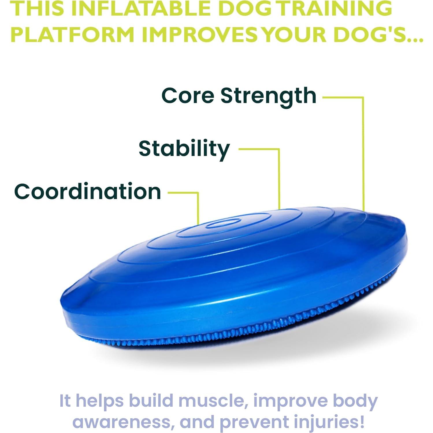 Disco de Equilibrio FitPAWS 22" Azul - Ejercicio y Rehabilitación Canina