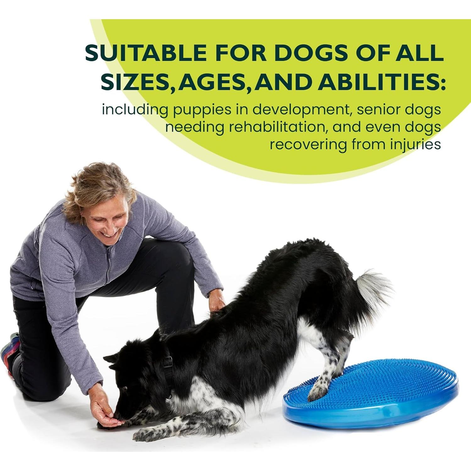 Disco de Equilibrio FitPAWS 22" Azul - Ejercicio y Rehabilitación Canina