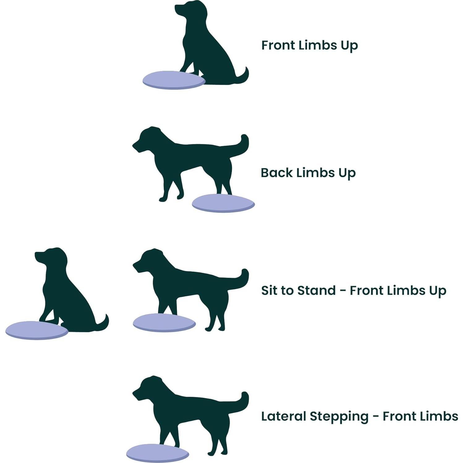 Disco de Equilibrio FitPAWS 22" Azul - Ejercicio y Rehabilitación Canina