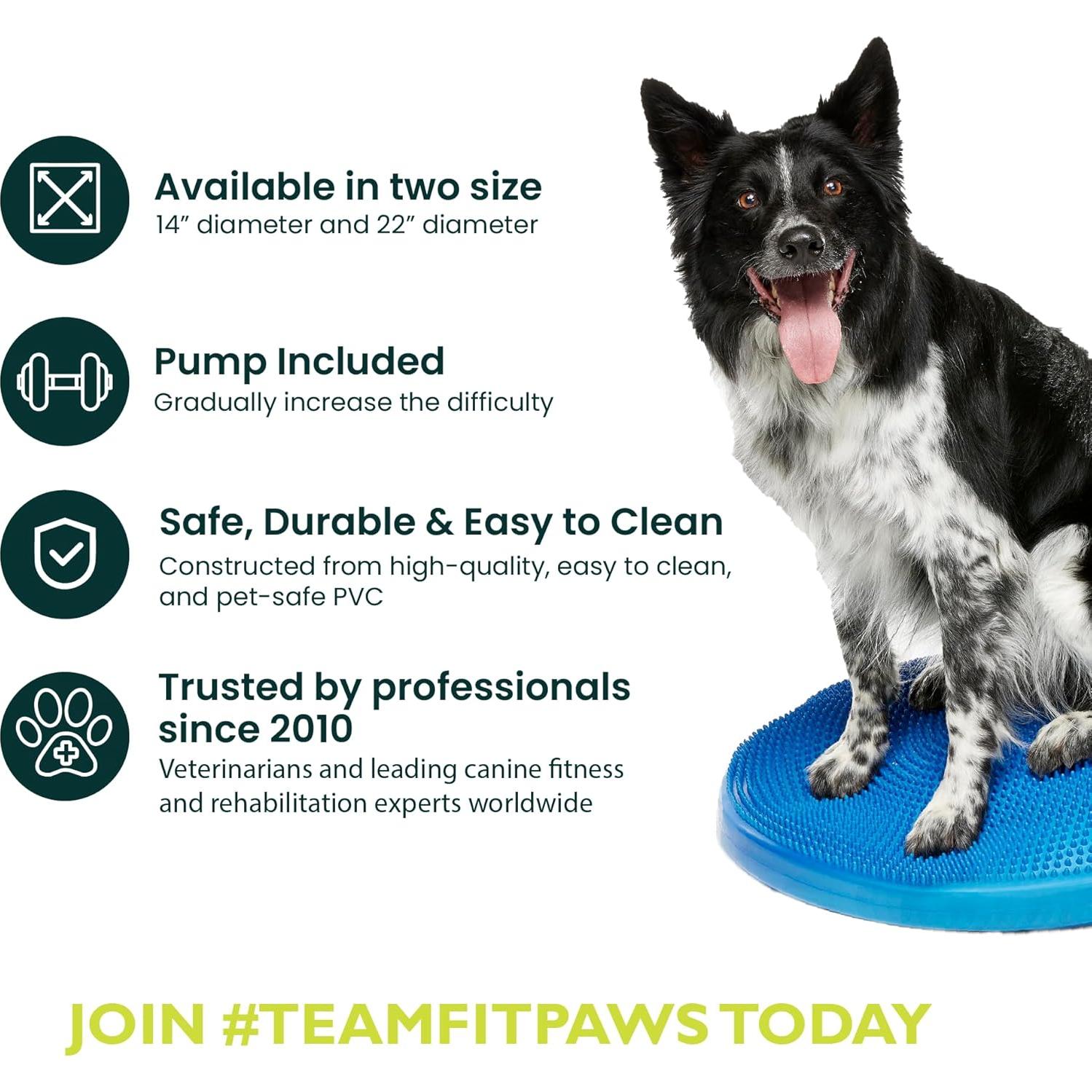 Disco de Equilibrio FitPAWS 22" Azul - Ejercicio y Rehabilitación Canina