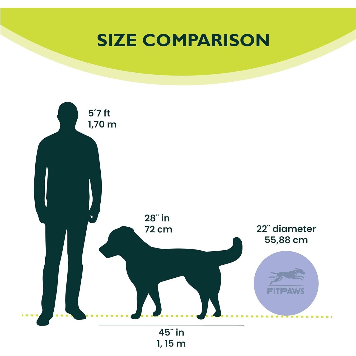 Disco de Equilibrio FitPAWS 22" Azul - Ejercicio y Rehabilitación Canina