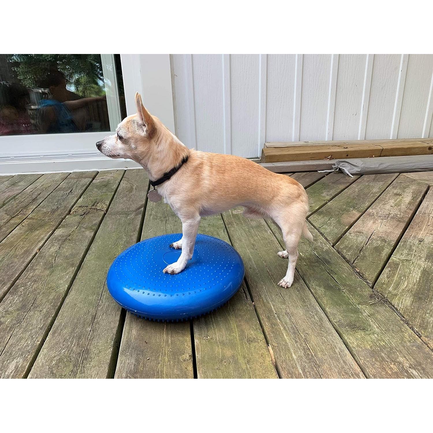 Disco de Equilibrio DEZAL 36 cm para Perros - Rehabilitación y Ejercicio
