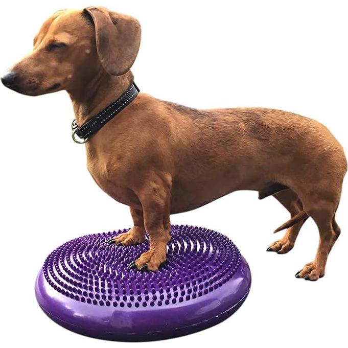 Disco de Equilibrio DEZAL 36 cm para Perros - Rehabilitación y Ejercicio