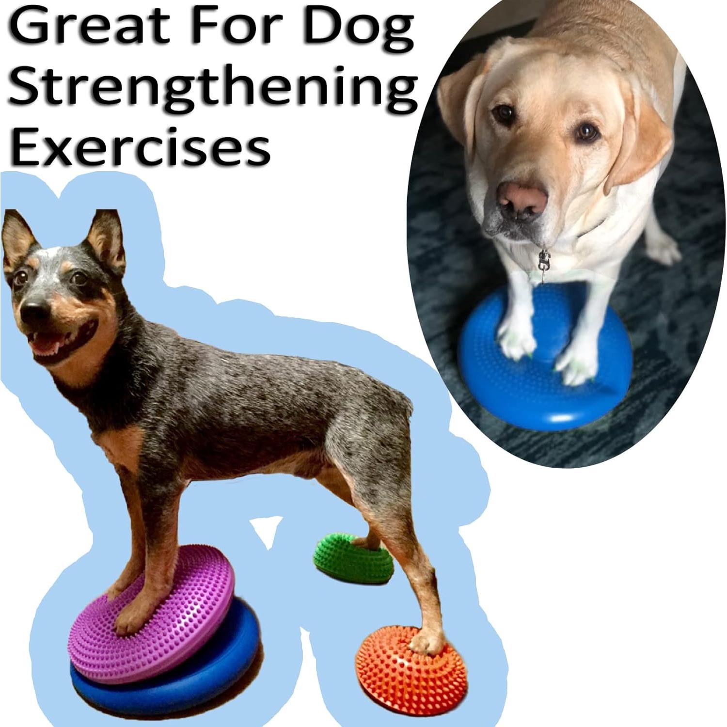 Paquete de 3 Cojines Inflables Genérico 33 cm PVC para Equilibrio