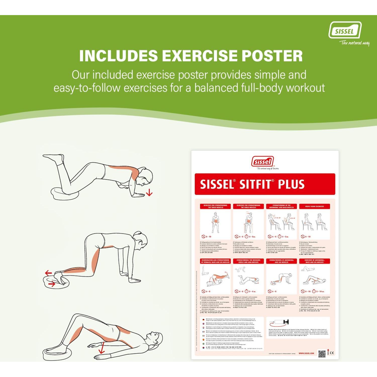 Cojín de Asiento Activo Sissel SitFit Plus Rojo 36.83 cm