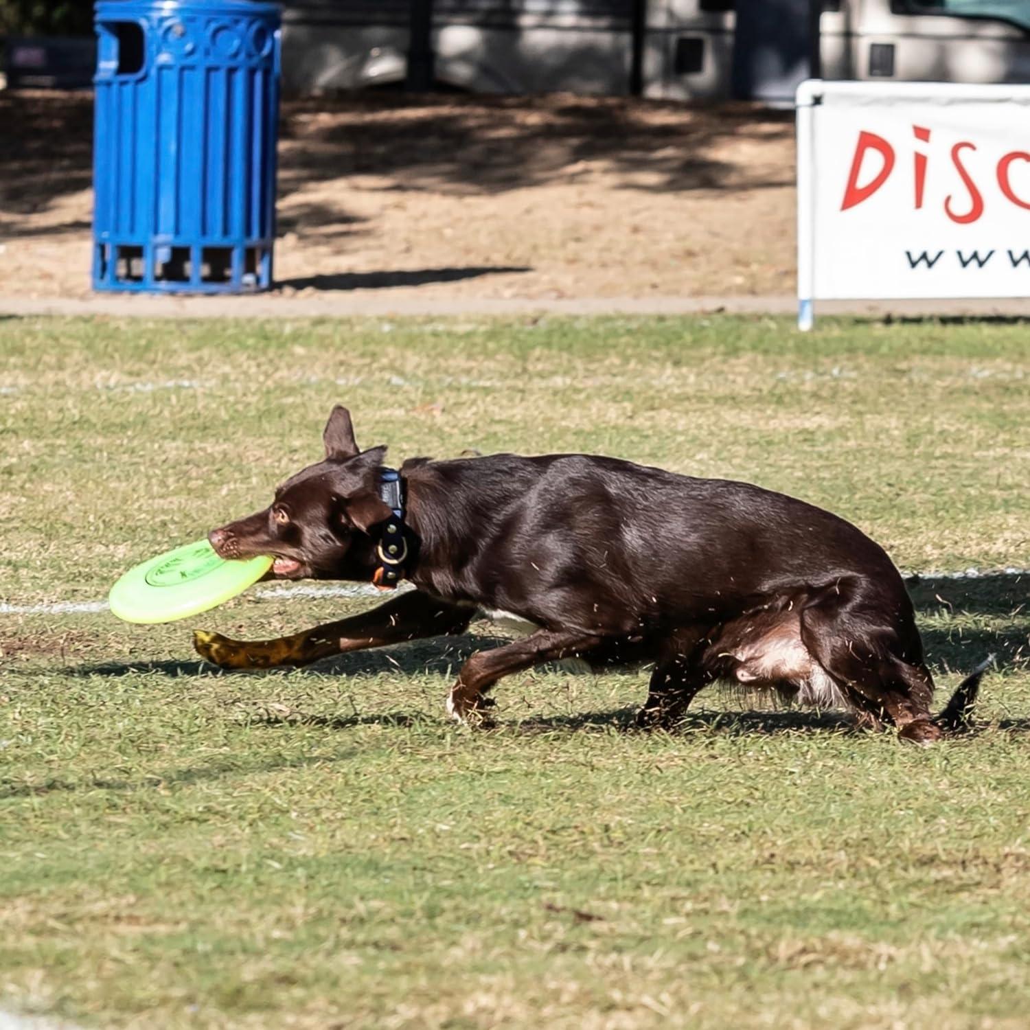 Disco Volador para Perros Hyperflite K-10 Jawz 22.23 cm