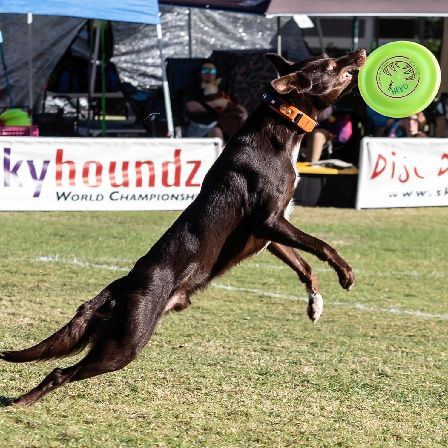 Disco Volador para Perros Hyperflite K-10 Jawz 22.23 cm