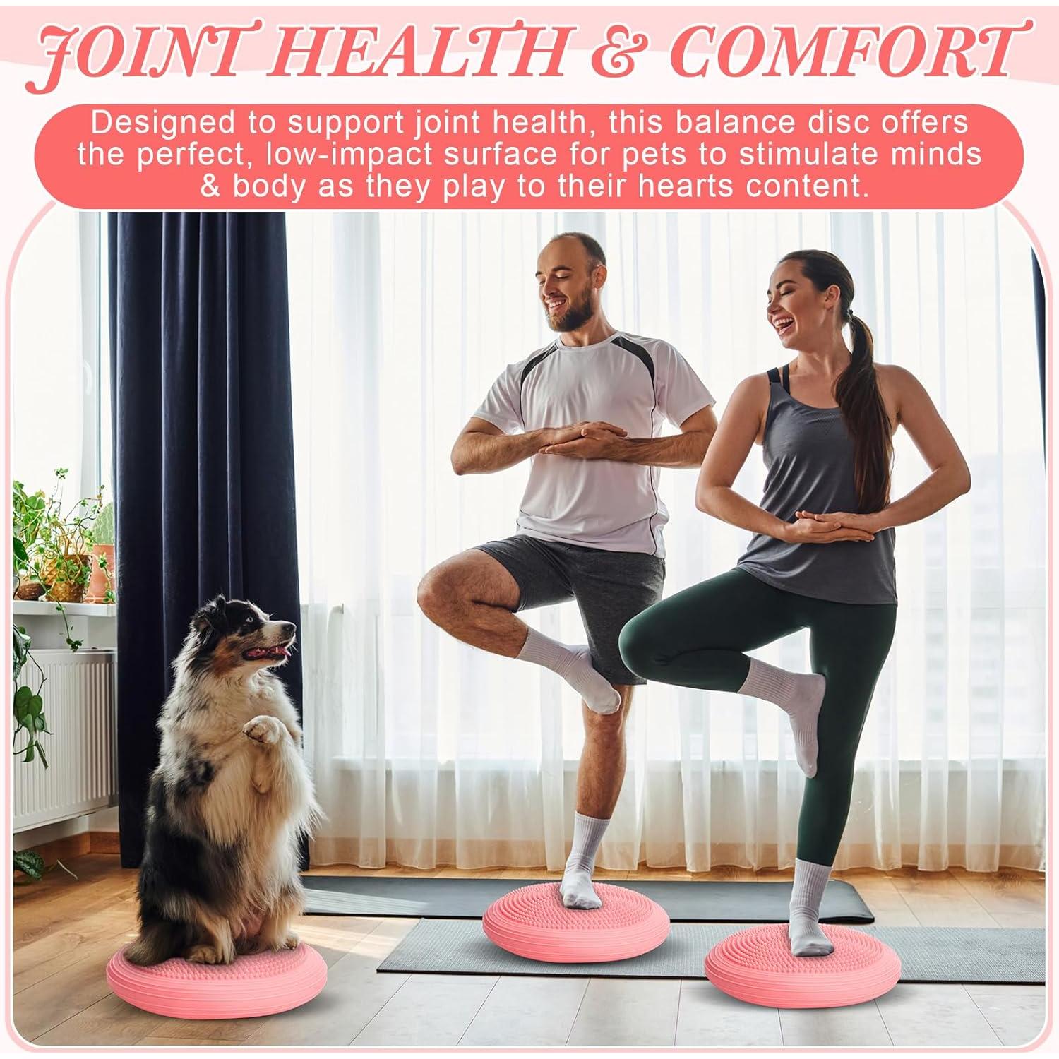 Asiento de Balance Wobble Cushion Libima 33cm Lila Aciano