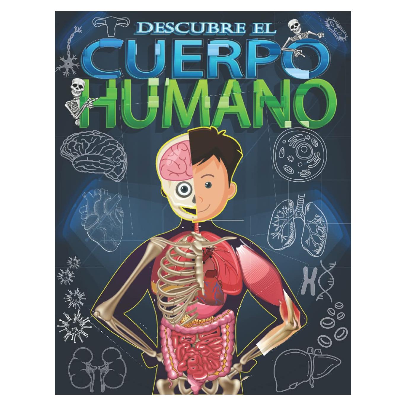 Descubre el cuerpo humano: Mira debajo de tu cuerpo libro para niños a partir de 5 años. (Spanish Edition)