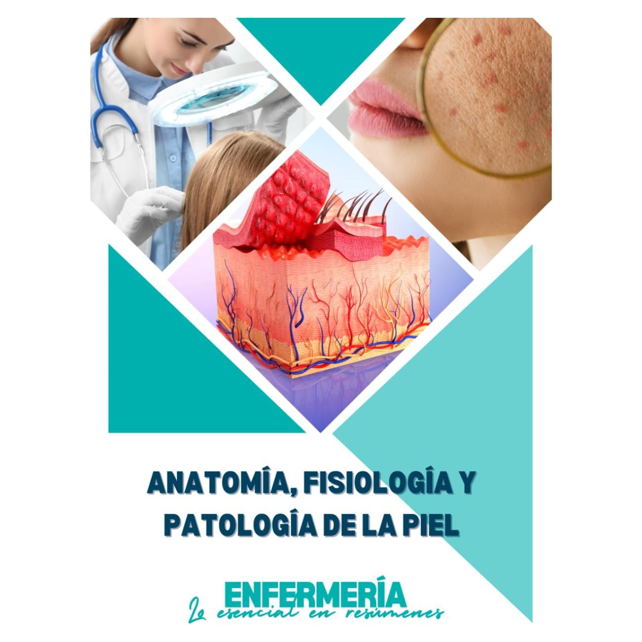Anatomía, fisiología y patología de la piel: Enfermería: lo esencial en resúmenes (Spanish Edition)