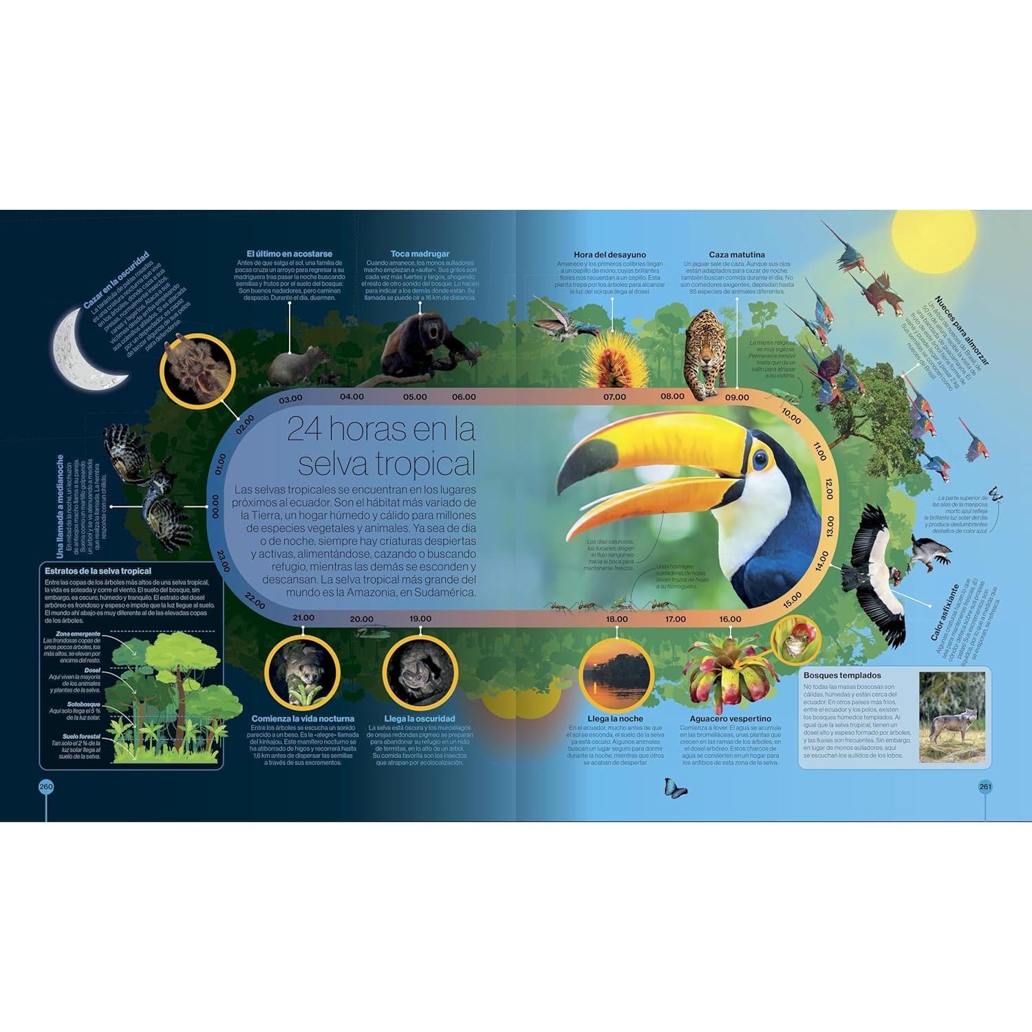 Los ciclos de la naturaleza (Timelines of Nature) (DK Children's Timelines) (Spanish Edition)