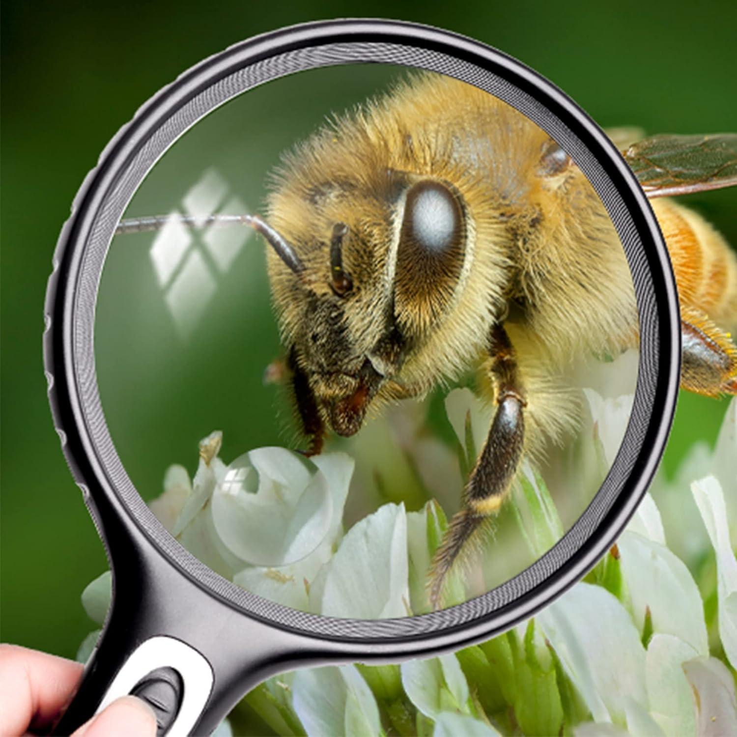 Lupa iluminada YJZXXLSH 3-30X con luz LED para lectura