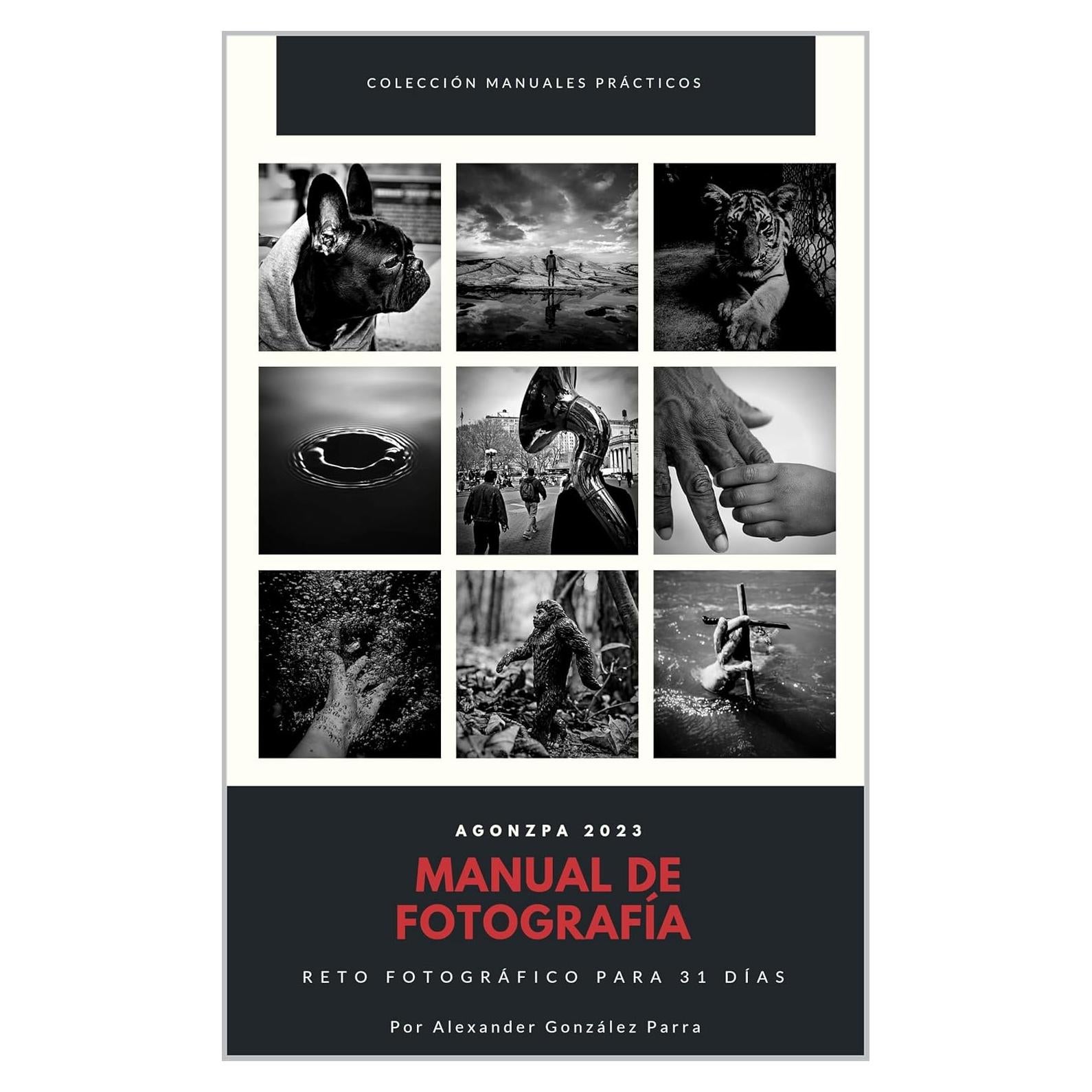 Reto Fotográfico 31 Días Agonzpa Manual Práctico