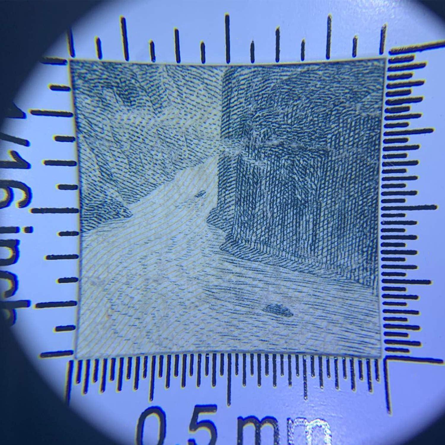 Lupa óptica 10X con luz LED Vludiss y estuche