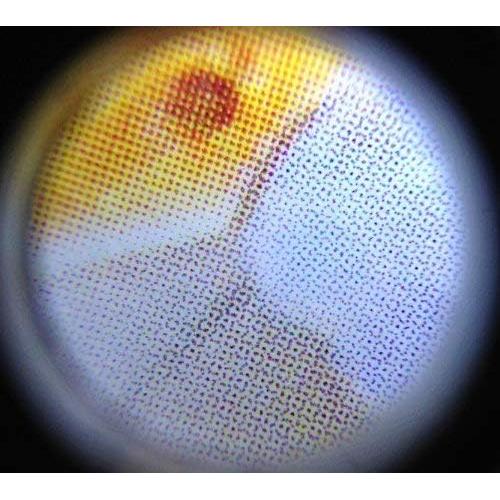 Lupa Beileshi 40X con LED y Lente de Vidrio Plegable