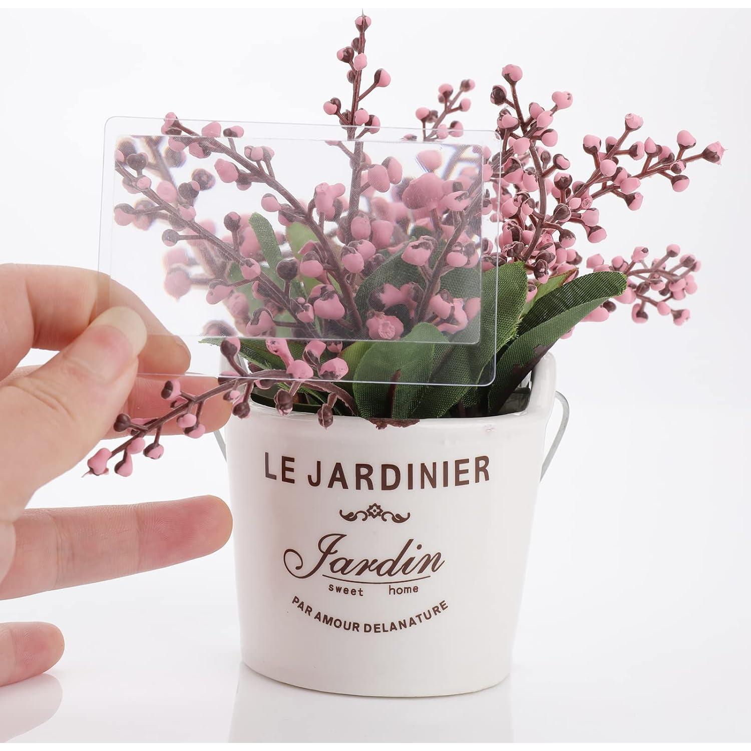 Lentes de Aumento TIESOME 3X - 20 Piezas de PVC 8.5x5.5cm