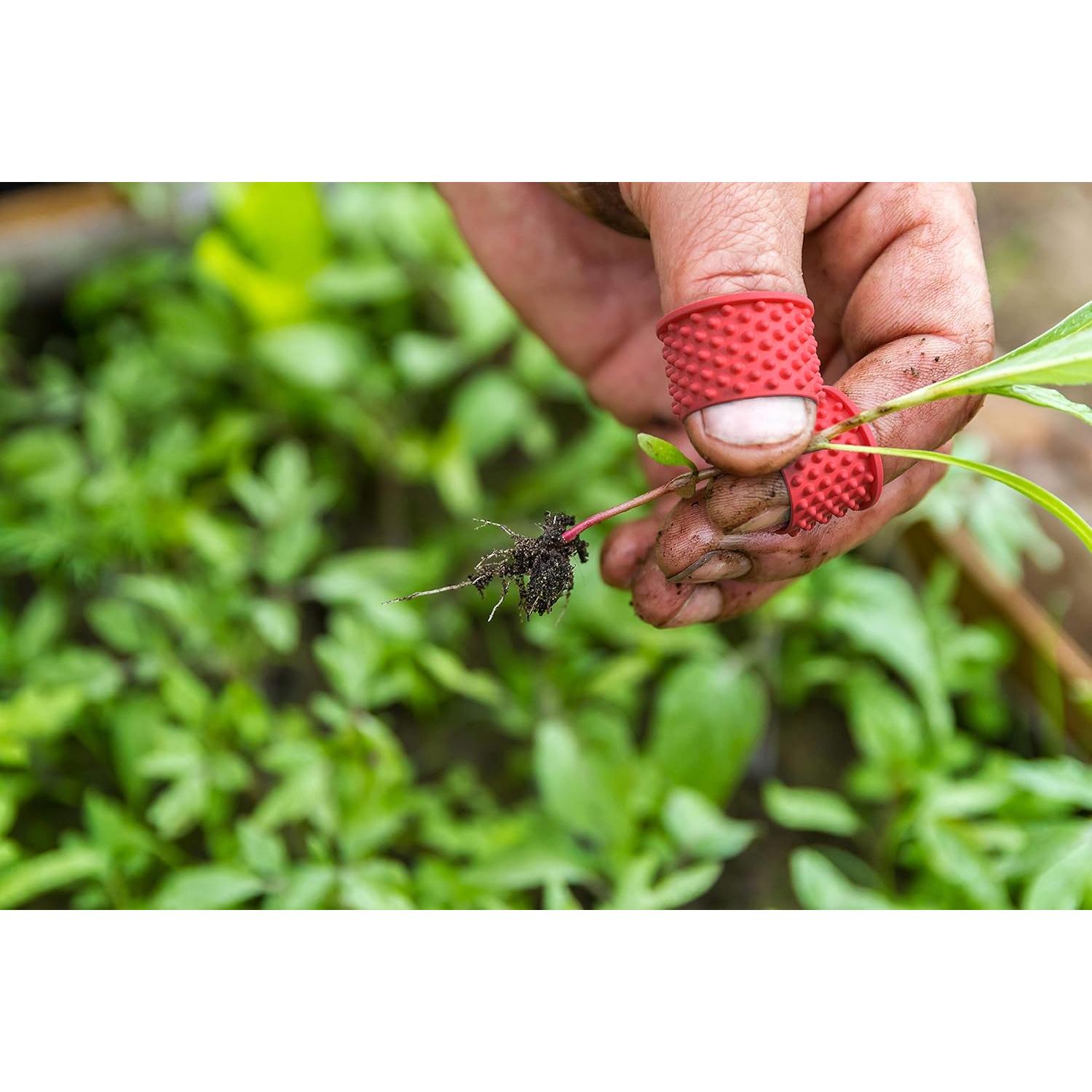 Puntas de Dedo de Goma Griply XS - Paquete de 10 Reutilizables