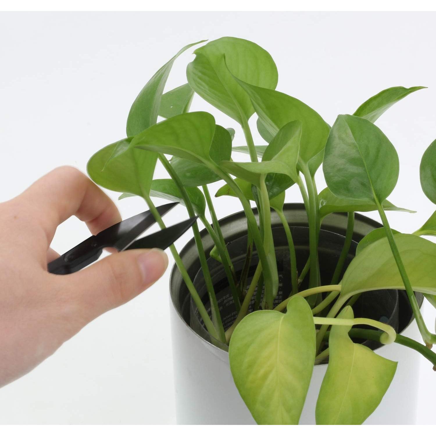 Tijeras de Coser Anley 12 Piezas 10 cm Acero Inoxidable Negro