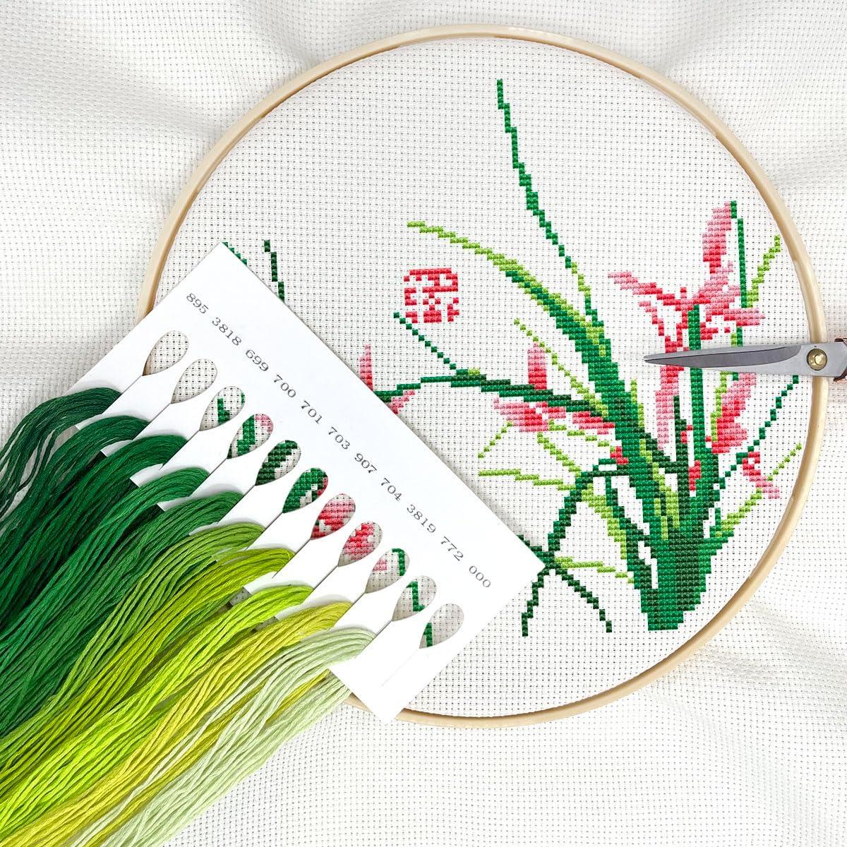 Juego de Hilos de Bordado Zhenqing 10 Colores 60 Madejas 1.2m