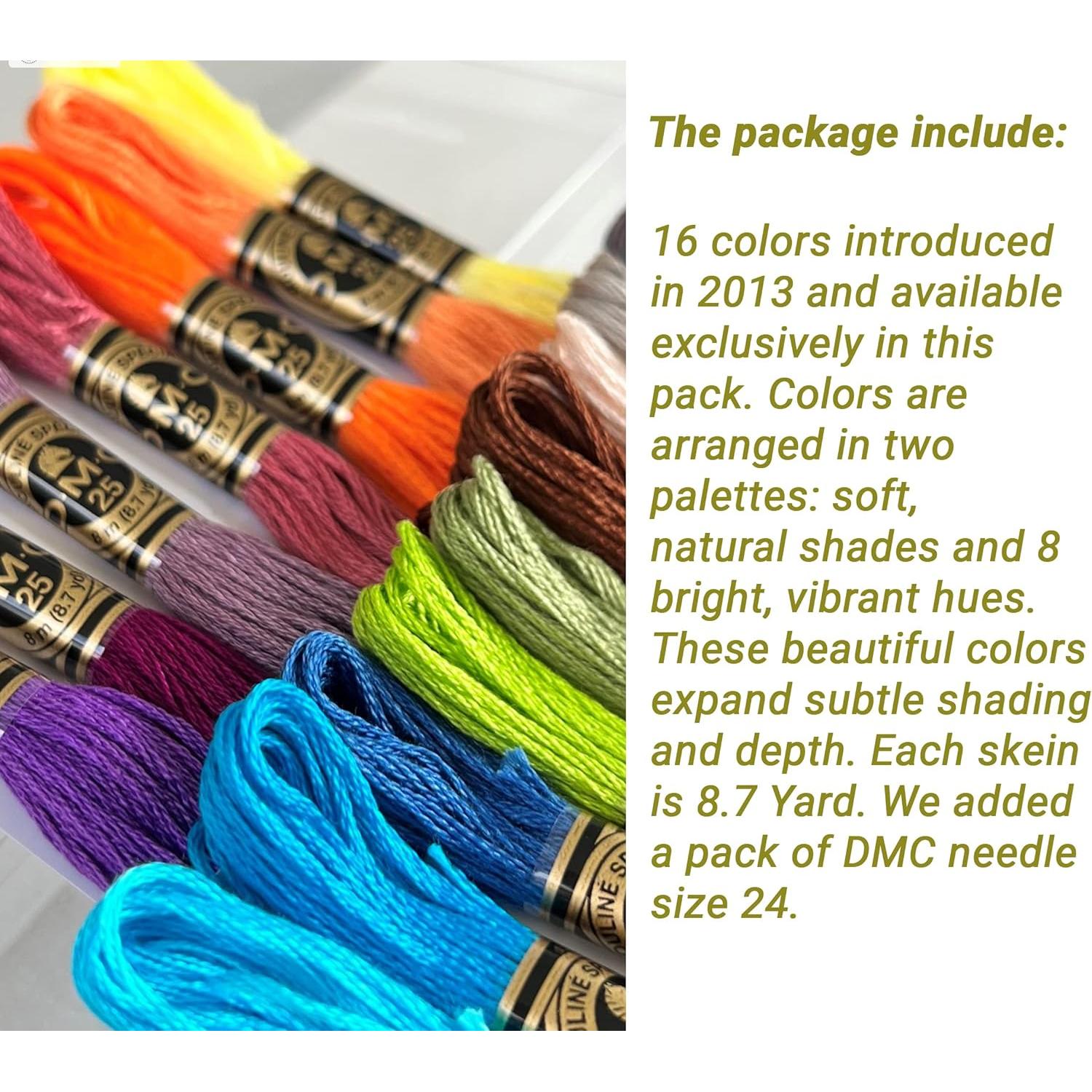 Hilo de Bordado DMC 16 Colores + Agujas Tamaño 24