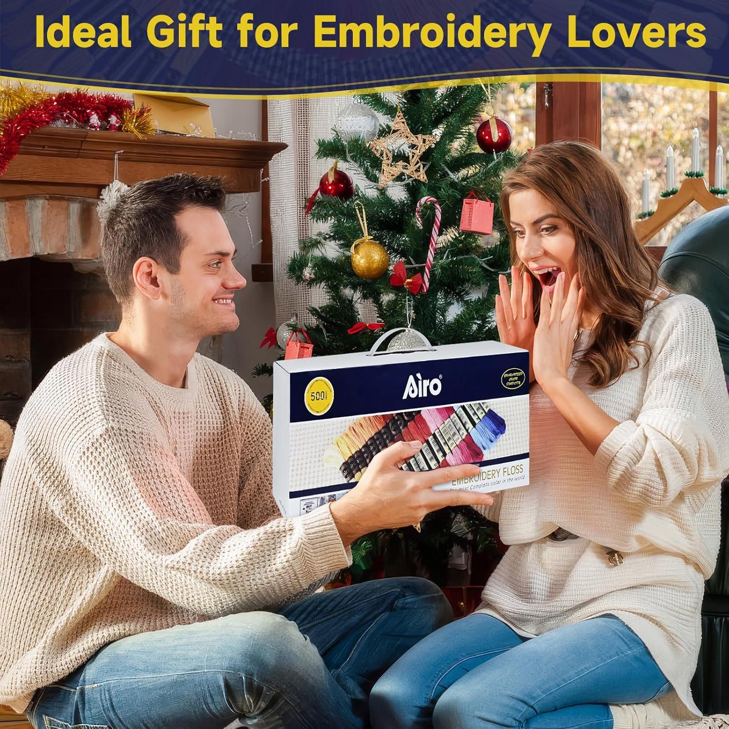 500 Madejas Hilo de Bordar Embhand 8m Algodón Multicolor