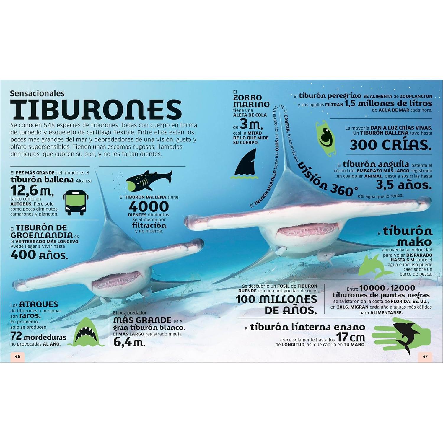 El mundo en números: Animales (Our World in Numbers Animals) (DK Oour World in Numbers) (Spanish Edition)