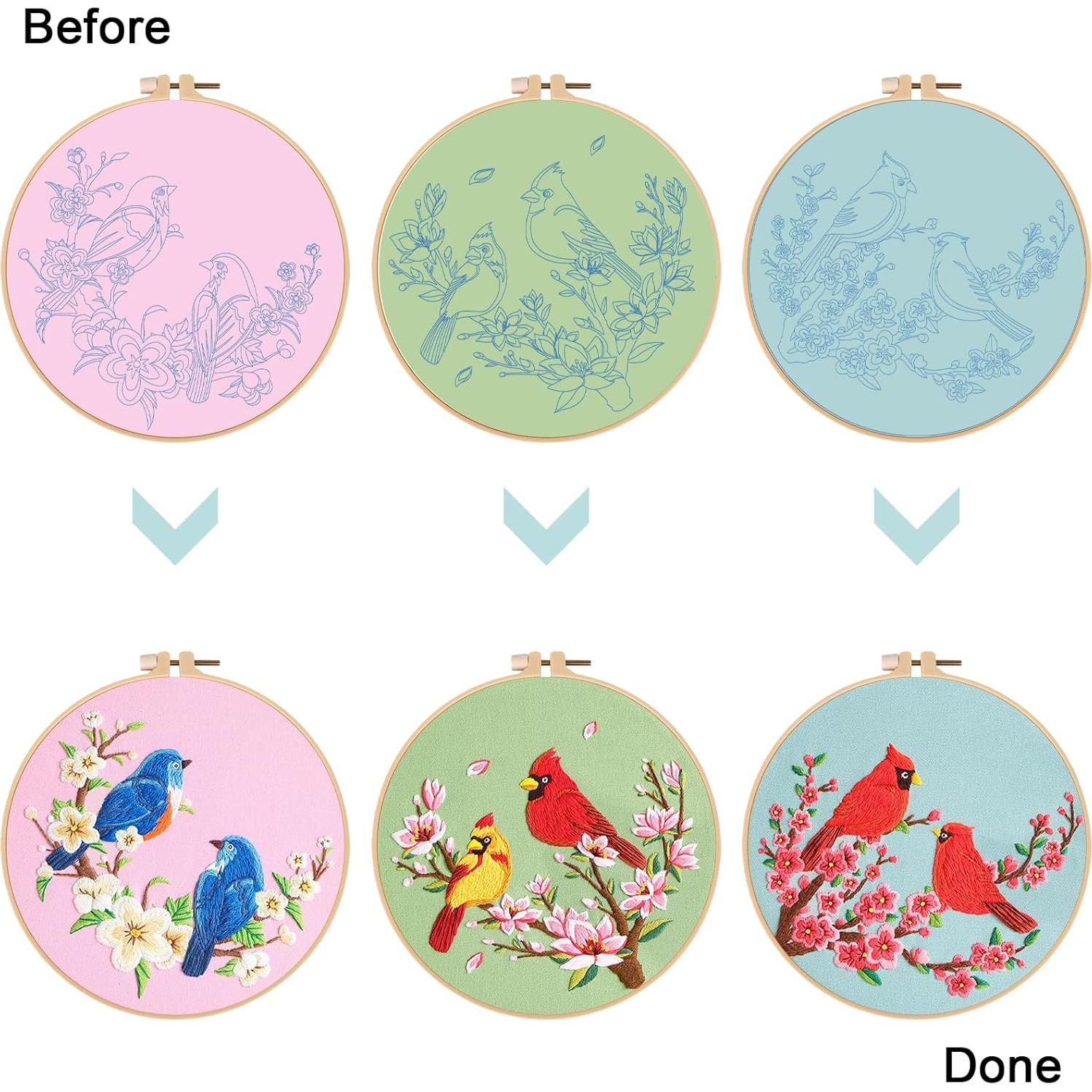 Kit de Bordado Nuberlic para Principiantes - 3 Diseños de Pájaro