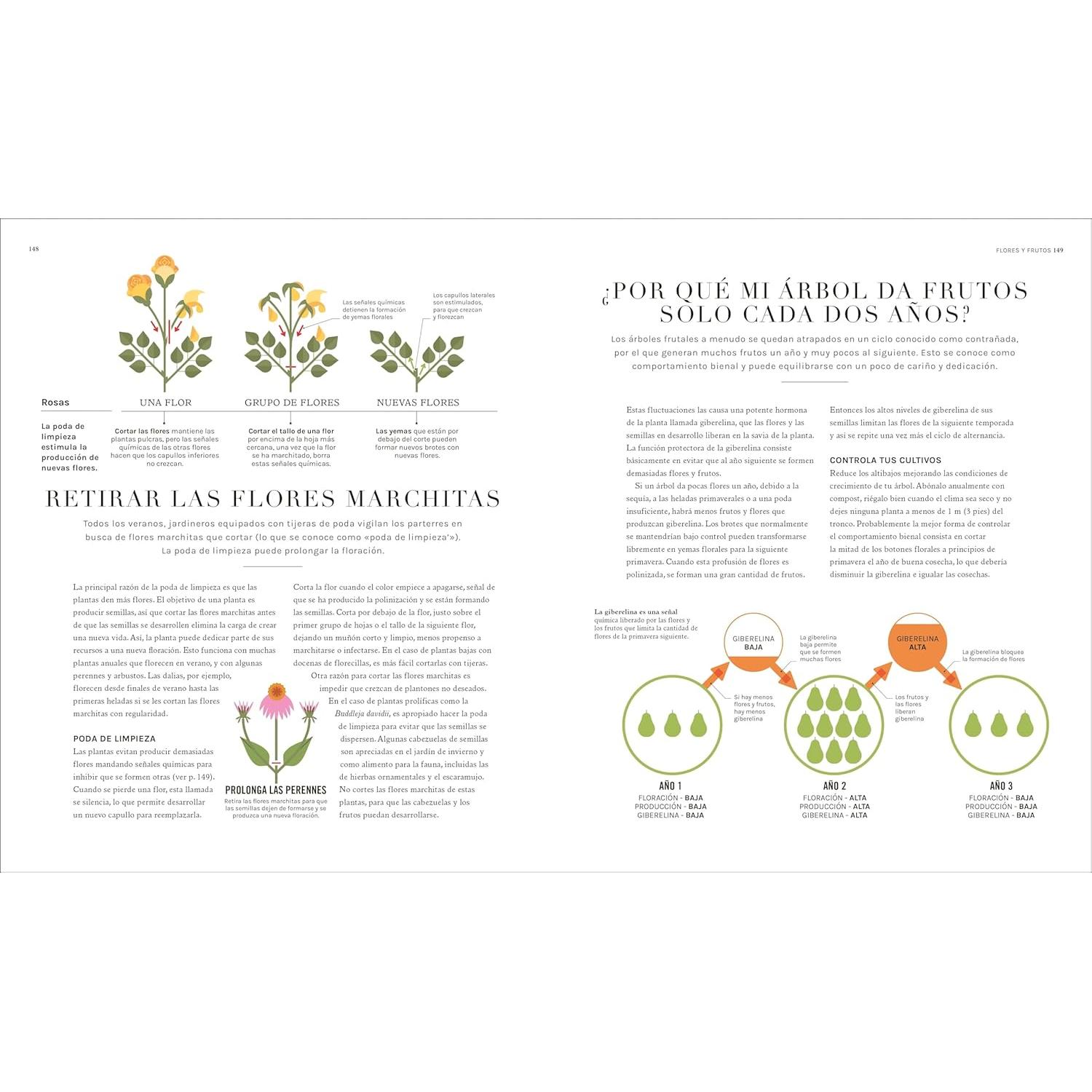Jardinología: La ciencia de la jardinería