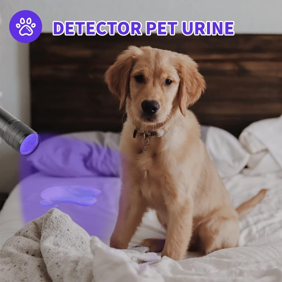 5 Linternas UV YIKOSAM 9 LED 395-400nm Portátiles para Mascotas