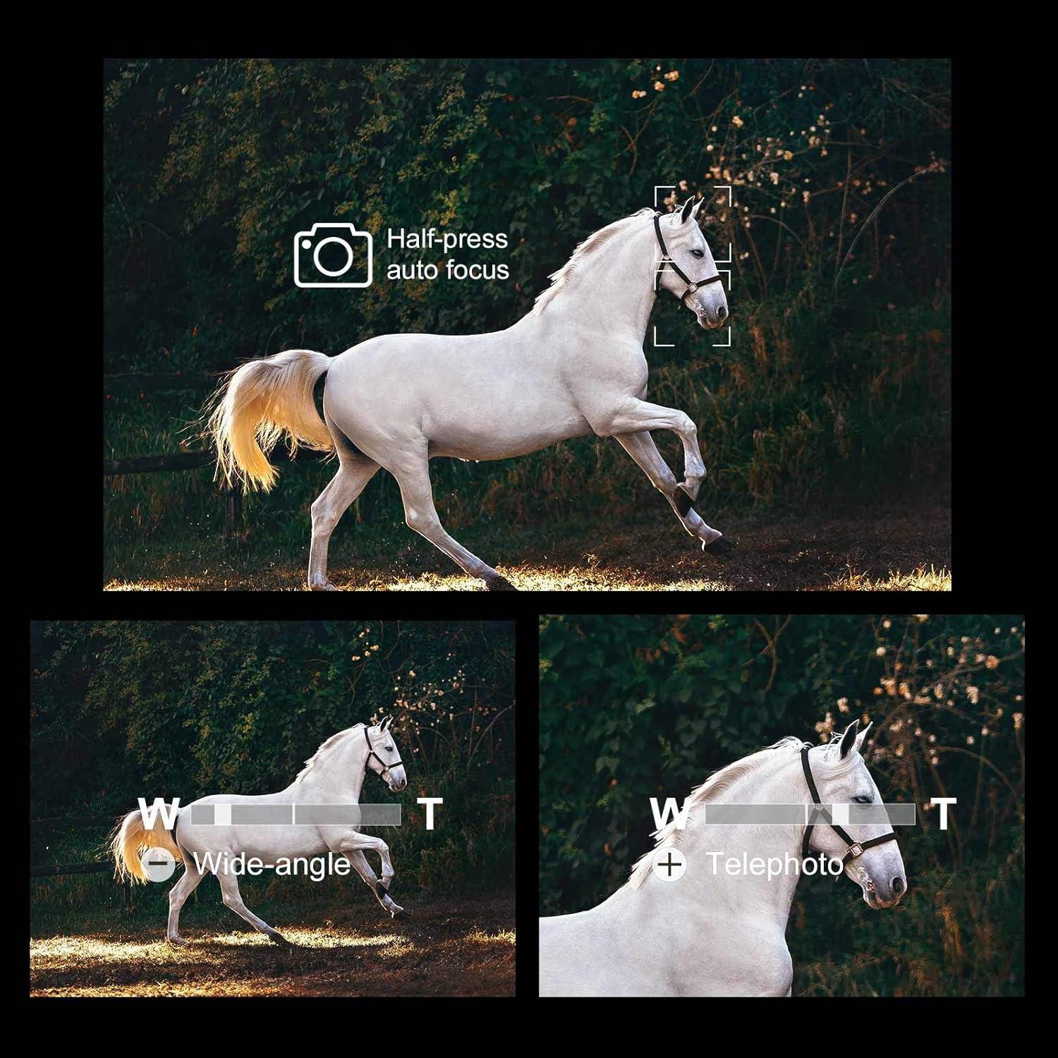 Control Remoto Inalámbrico AODELAN para Cámara Sony A7 III, A7R IV