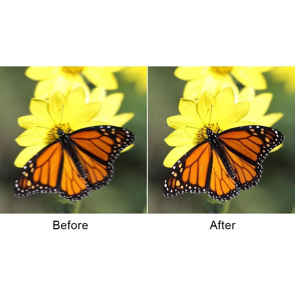 Control Remoto de Obturador ZHUXI BW-7009 para Sony