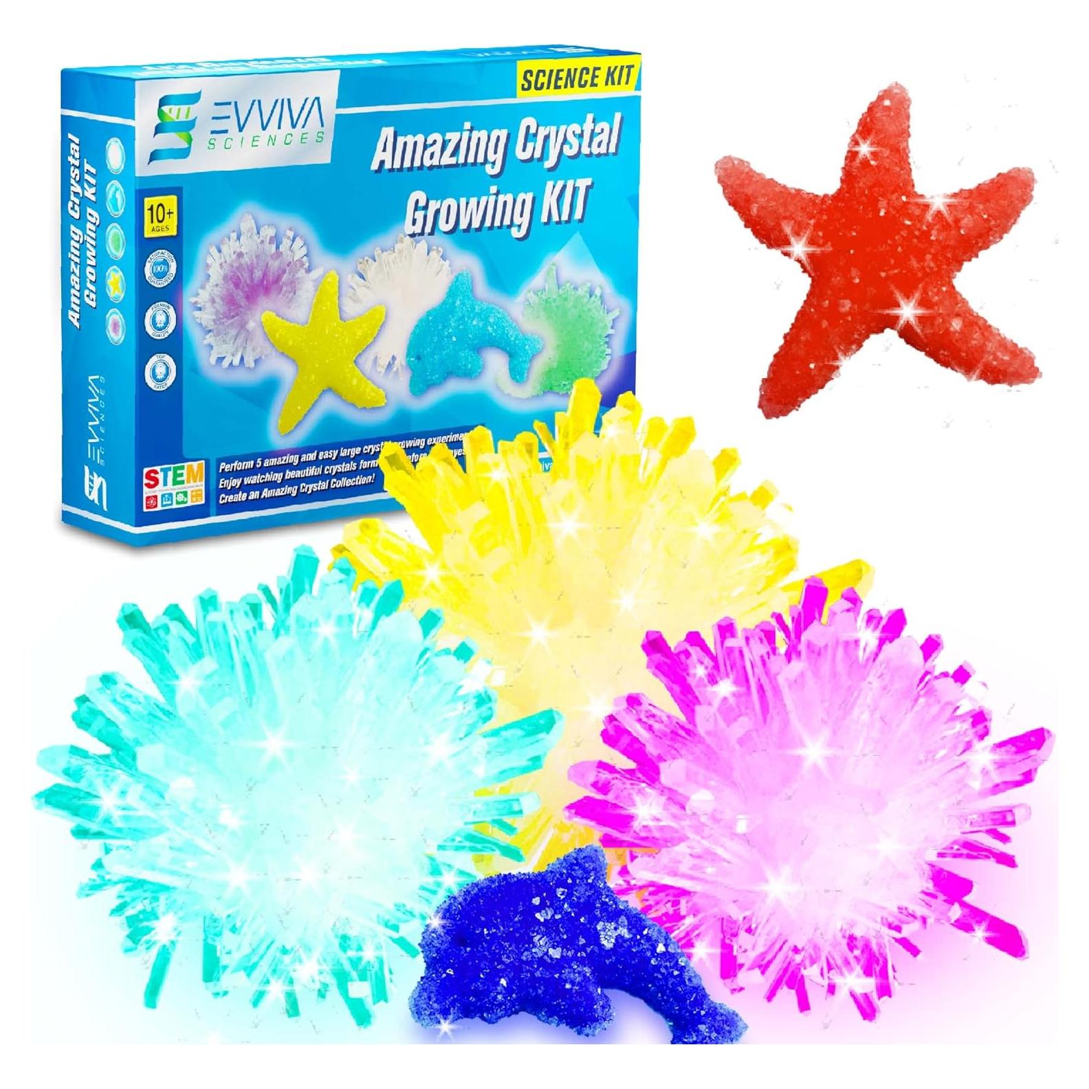 Kit de Crecimiento de Cristales Evviva Sciences - Set Educativo STEM