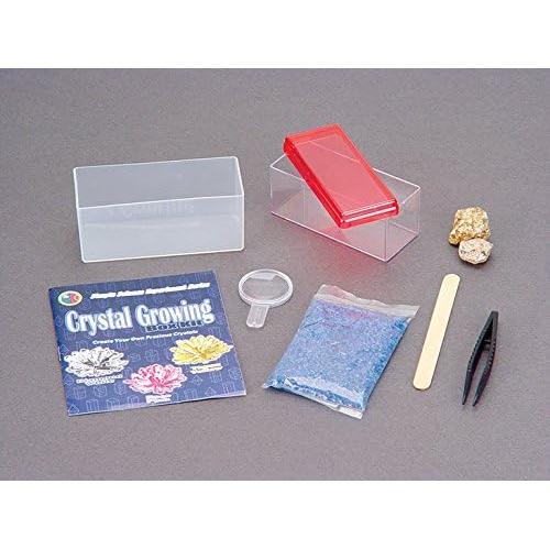 Kit de Crecimiento de Cristales Toysmith - Experimento Científico